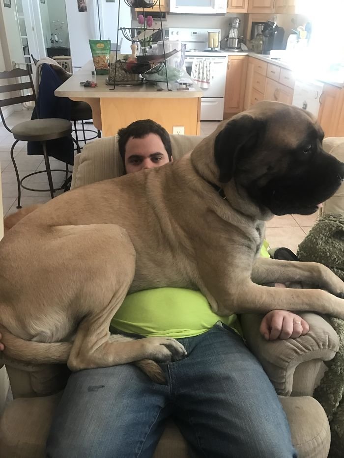 Um homem sentado sob cachorro