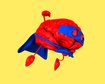 thumb-image-2024-02-29T14:02:41.706Z