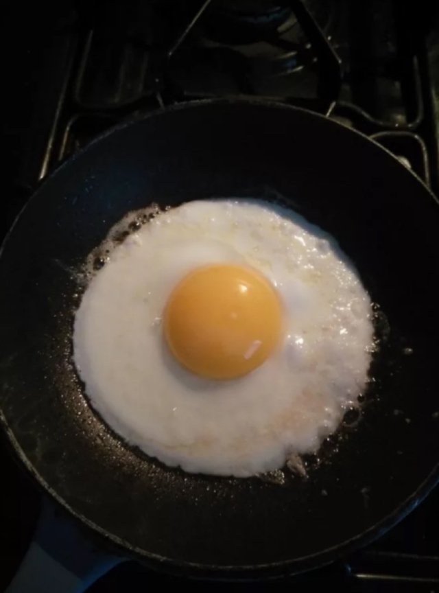 Um ovo em um prato