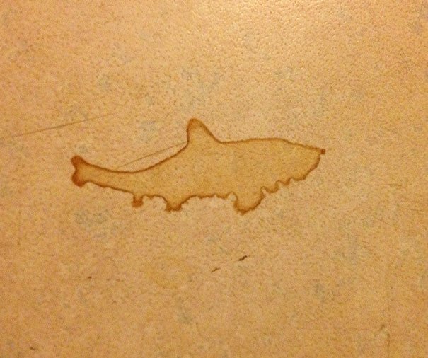 Mancha em forma de tubarão