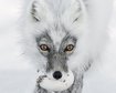 thumb-image-2024-02-29T14:02:42.345Z