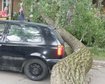 thumb-image-2024-02-29T14:02:42.696Z