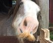 thumb-image-2024-02-29T14:02:43.679Z