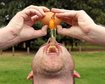 thumb-image-2024-02-29T14:02:43.906Z
