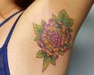 thumb-image-2024-02-29T14:02:44.368Z