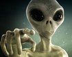thumb-image-2024-02-29T14:02:44.413Z