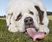 thumb-image-2024-02-29T14:02:44.563Z