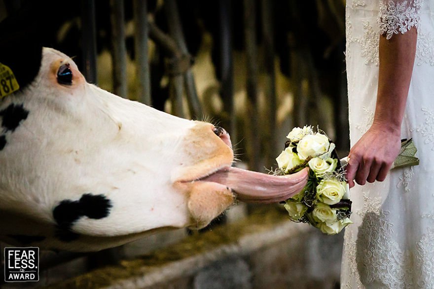 Melhores fotos de casamento de 2017: Até quem não é romântico se derrete