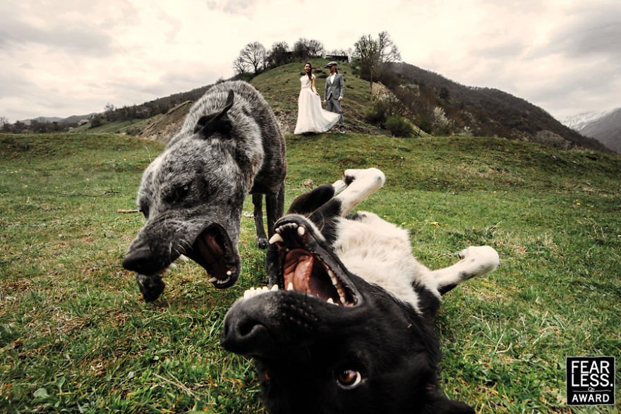 Melhores fotos de casamento de 2017: Até quem não é romântico se derrete