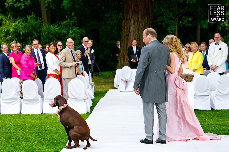 Melhores fotos de casamento de 2017: Até quem não é romântico se derrete