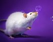 thumb-image-2024-02-29T14:02:46.709Z