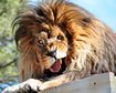 thumb-image-2024-02-29T14:02:46.825Z