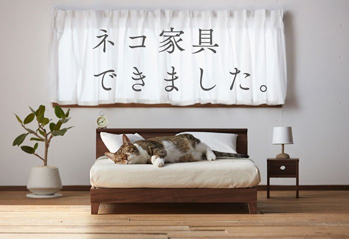 Móveis para gatíneos: mais um motivo para amarmos o Japão