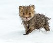 thumb-image-2024-02-29T14:02:47.728Z