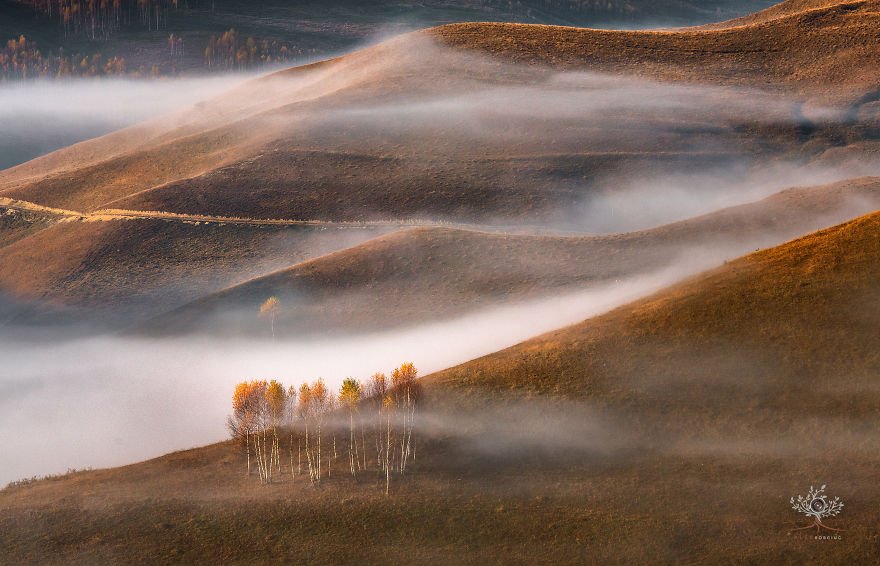 Estas fotos surreais da Transilvânia vão encher sua mente de magia e beleza