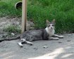 thumb-image-2024-02-29T14:02:48.161Z