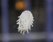thumb-image-2024-02-29T14:02:48.221Z