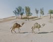 thumb-image-2024-02-29T14:02:48.272Z