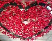 thumb-image-2024-02-29T14:02:48.464Z