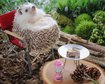 thumb-image-2024-02-29T14:02:48.476Z