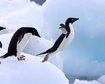 thumb-image-2024-02-29T14:02:48.725Z