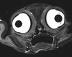 thumb-image-2024-02-29T14:02:50.007Z