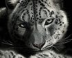 thumb-image-2024-02-29T14:02:50.969Z