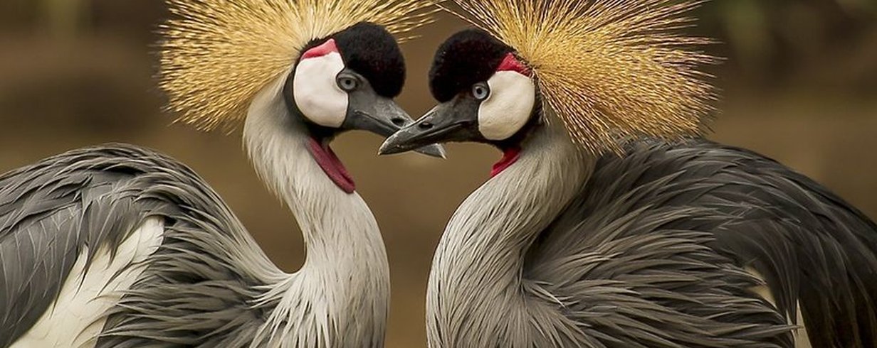 thumb-image-2024-02-29T14:02:51.282Z