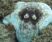 thumb-image-2024-02-29T14:02:51.422Z