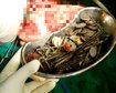 thumb-image-2024-02-29T14:02:51.653Z