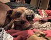 thumb-image-2024-02-29T14:02:52.011Z