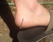 thumb-image-2024-02-29T14:02:52.296Z