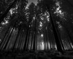 thumb-image-2024-02-29T14:02:52.308Z
