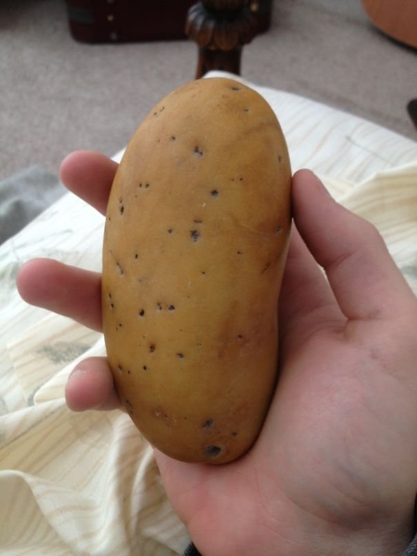 pedra igual a batata
