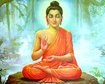 thumb-image-2024-02-29T14:02:52.553Z