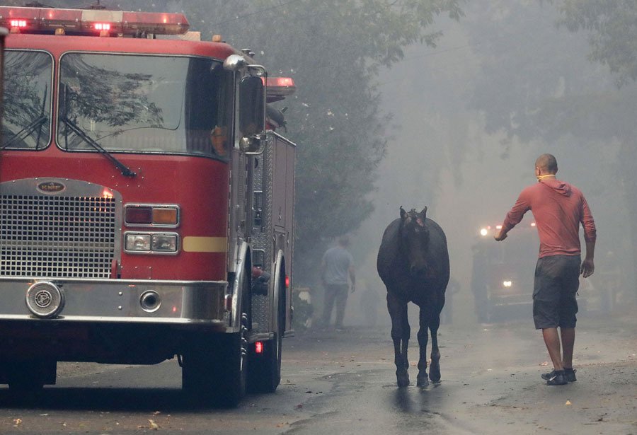 (The Atlantic/Chris Carlson/AP)