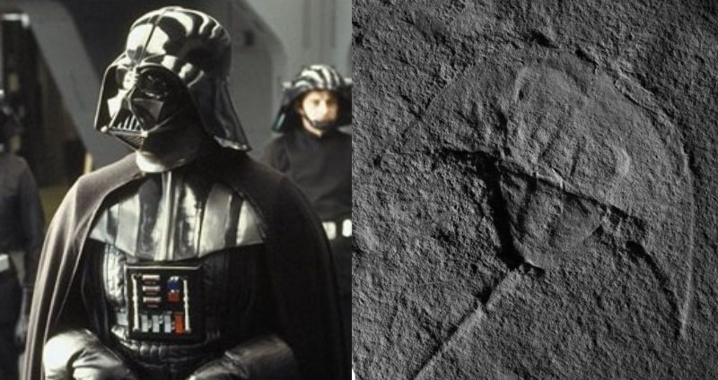 Darth Vader pré histórico