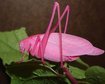 thumb-image-2024-02-29T14:02:53.653Z