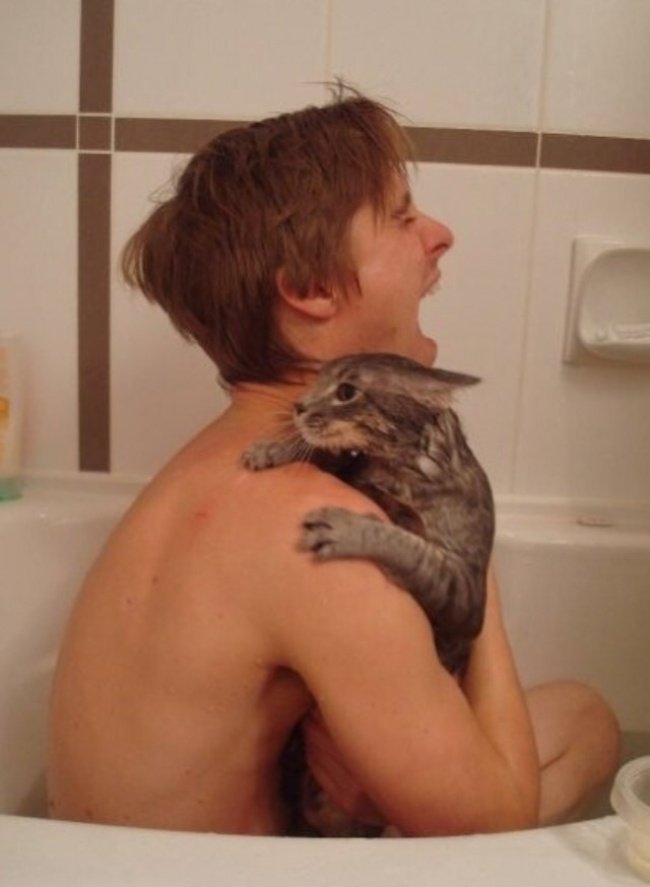 banho com gato