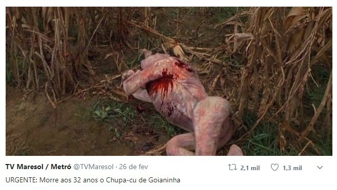 Memetrospectiva: os melhores memes das redes sociais brasileiras em 2017