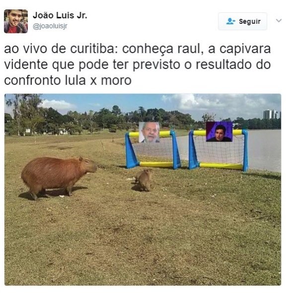 Memetrospectiva: os melhores memes das redes sociais brasileiras em 2017