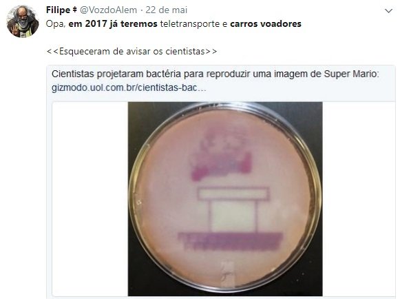 Memetrospectiva: os melhores memes das redes sociais brasileiras em 2017