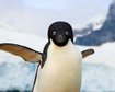 thumb-image-2024-02-29T14:02:53.846Z