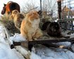 thumb-image-2024-02-29T14:02:54.342Z