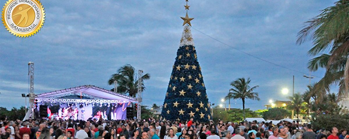 Maior árvore de Natal do país feita de garrafa PET fica em Santa Catarina -  Mega Curioso