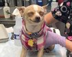 thumb-image-2024-02-29T14:02:54.671Z