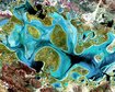 thumb-image-2024-02-29T14:02:55.134Z