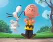 thumb-image-2024-02-29T14:02:56.251Z