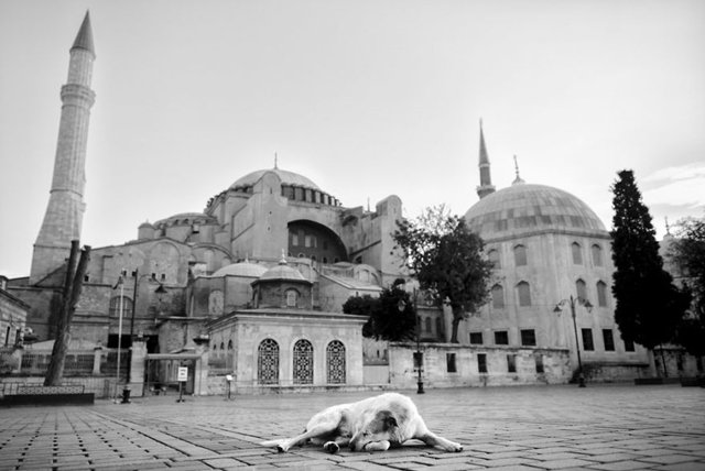 Istambul, na Turquia