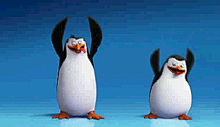 Pinguins dançando
